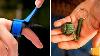10 Stealthy Self Defense Gadgets You Can Take Everywhere