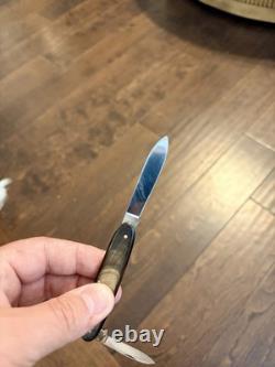 1950's Victorinox Victoria Secretary 84mm Buffalo Horn with Exposed Rivets Knife