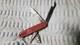 Rare Vintage Victorinox Safari Trooper Swiss Army Pocketknife