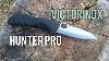 Victorinox Hunter Pro Knife And 440c Steel Thoughts