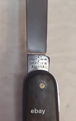 Victorinox Swiss Army BUFFALO Horn Handle Pocket Knife - RARE