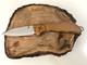 Victorinox Swiss Army Knife EVOKE Wood Walnut Thumb Stud Clip Plain EDGE SWISS