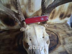 Victorinox master craftsman Officer Sussie Swiss Army Knife 5 Layers
